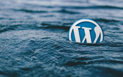 WordPress 4.8.1, actualización de mantenimiento